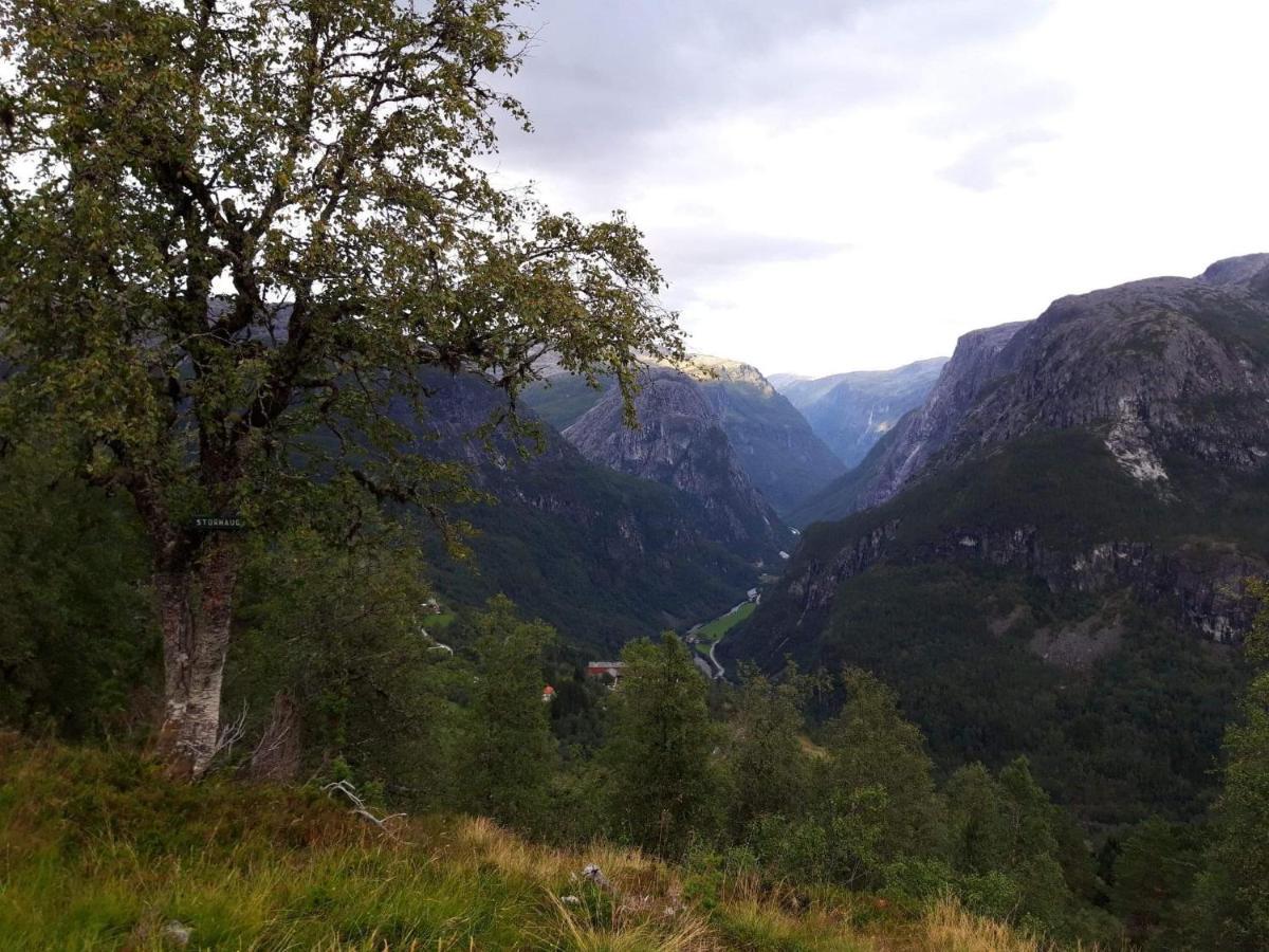 Stalheim Fjord Og Fjellhytter Экстерьер фото