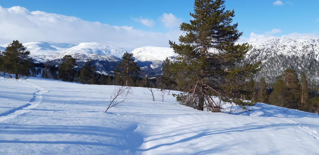 Stalheim Fjord Og Fjellhytter Экстерьер фото