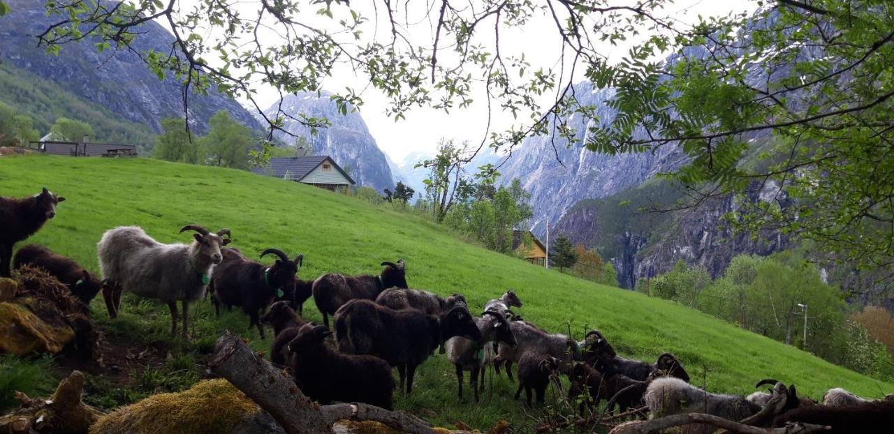 Stalheim Fjord Og Fjellhytter Экстерьер фото
